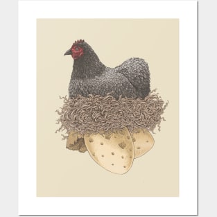 Chicken and Eggs Posters and Art